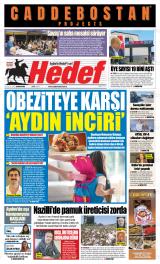 HEDEF