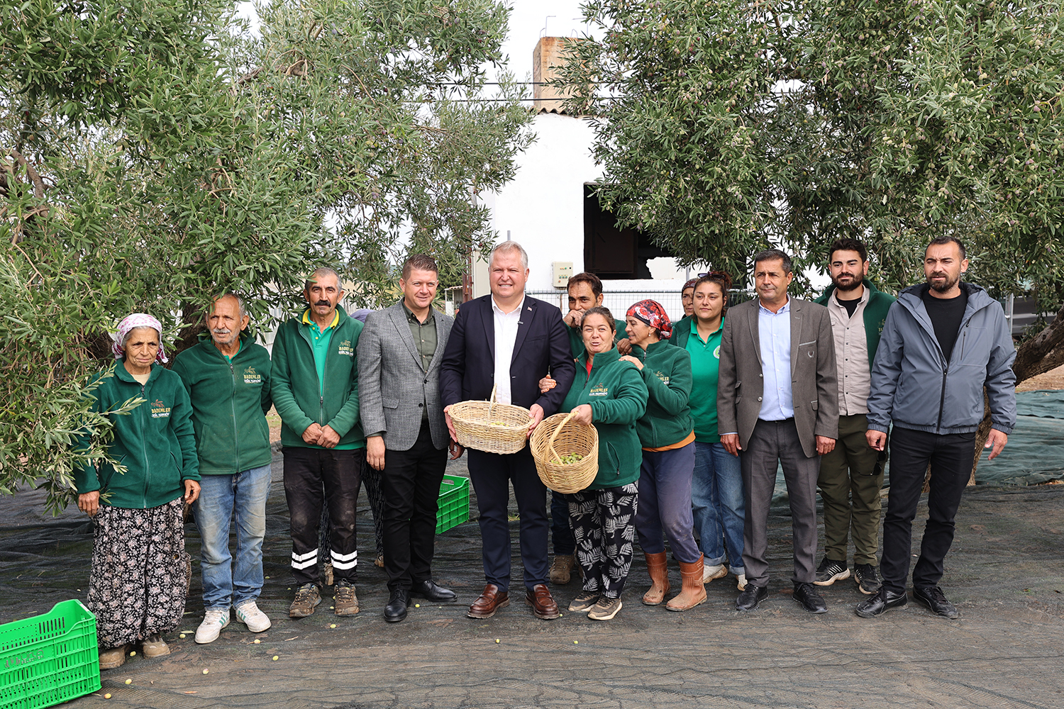 Urla’da zeytin kültürü üç gün boyunca festivalle yaşatılacak